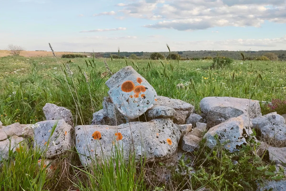 ebikerentalandtourpuglia10_ebikerentalandtourpuglia (2)