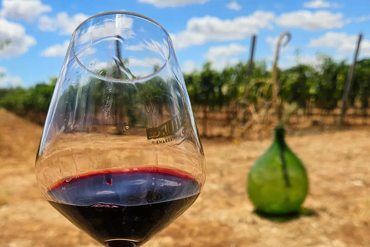 ebikerentalandtourpuglia-9_wine-tasting