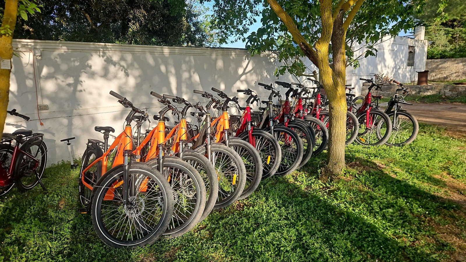 IMG-20250506-WA0015 (1) (1)